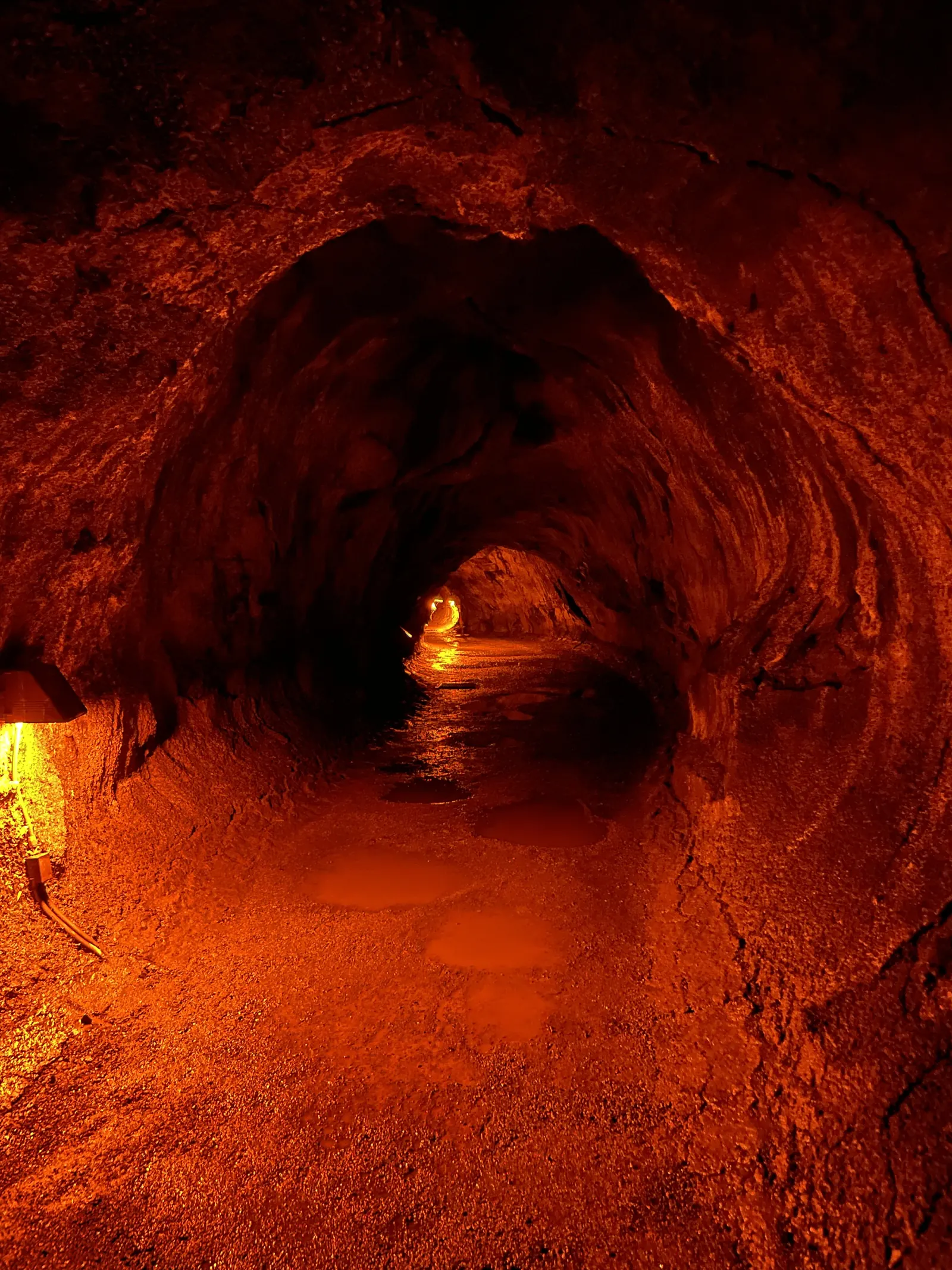 Rot leuchtender Thurston Lava Tube im Hawaiʻi-Volcanoes-Nationalpark mit einem Weg in die Tiefe