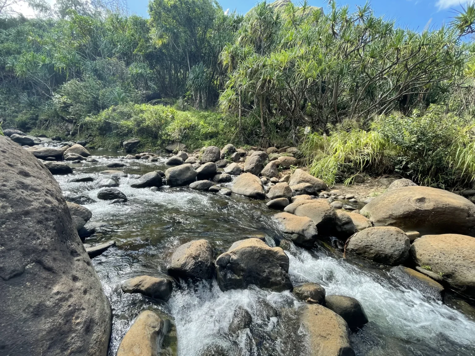 Ein hawaiianischer Bach, der zwischen großen Steinen hindurchfließt